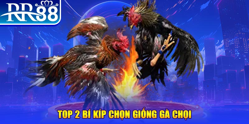 11789win đăng nhập poker số 1