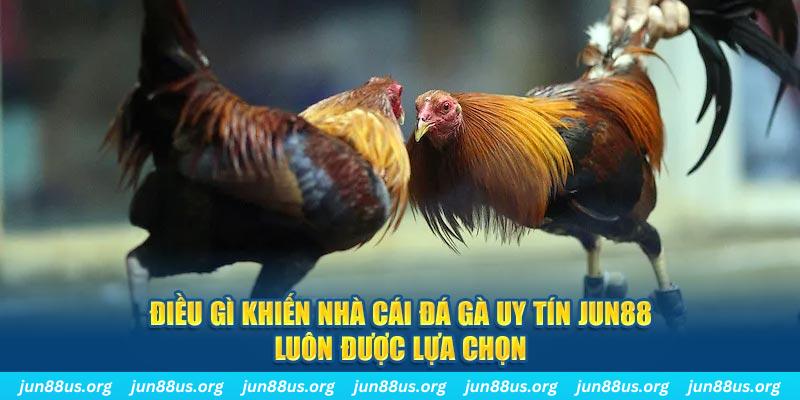 11789win qq88 nổ hũ bắn cá