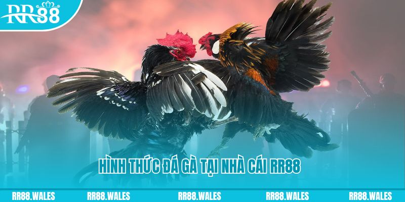 11789win xin 1 slot là gì