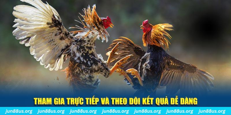 11789win đá gà trực tiếp bình luận viên