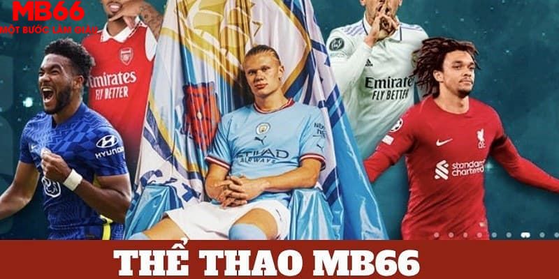 11789win trực tiếp đá gà 67