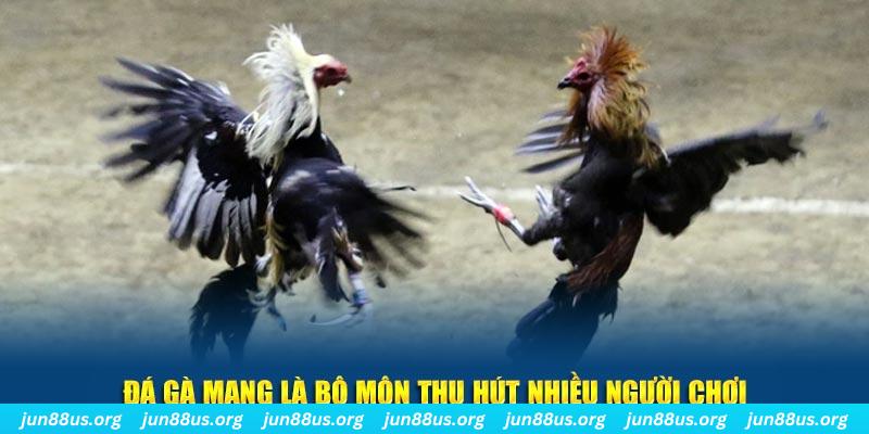 11789win xổ số cà mau