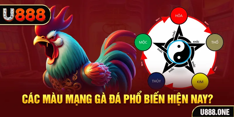 11789win đăng nhập mậu binh