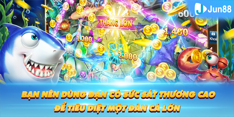 11789win Tung Đồng Xu