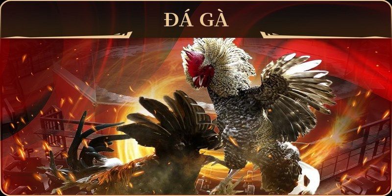 11789win no hu doi thuong ai