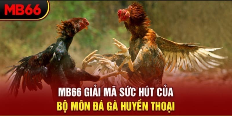 11789win Phi Đội Ưu Tú