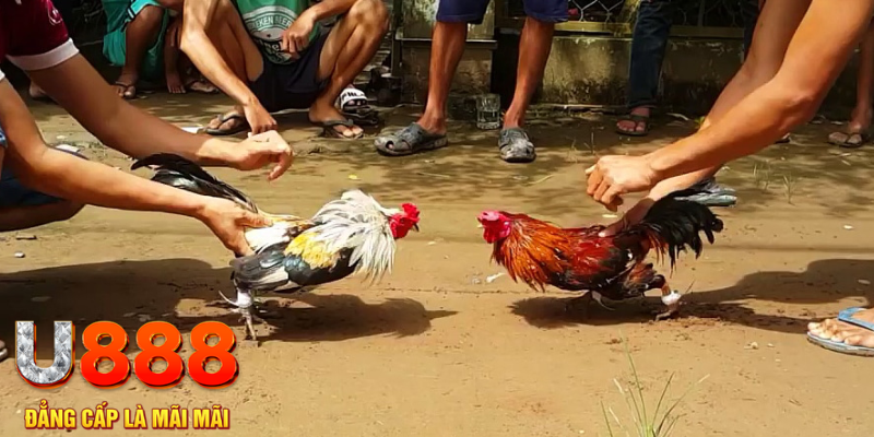 11789win đăng nhập mậu binh rút tiền nhanh