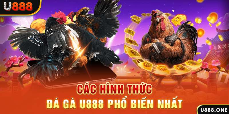 11789win DB Trực Tuyến