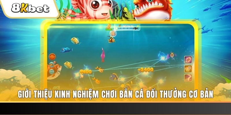 11789win xổ số miền bắc thứ năm hàng tuần
