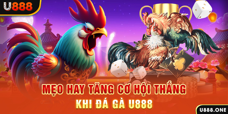 11789win trực tiếp gà chọi c1