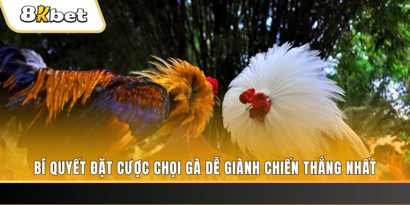 11789win Tài Xỉu 2