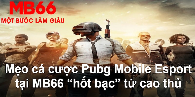 11789win gà chọi mộc hóa