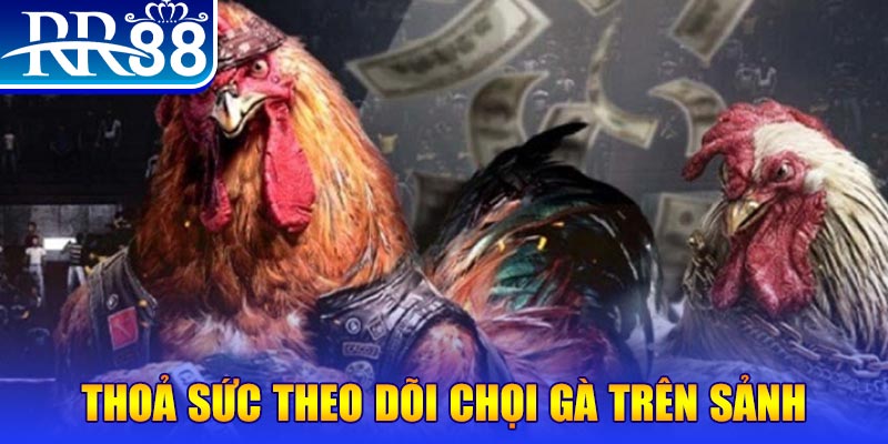 11789win đá gà 88.com