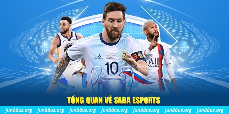 11789win gà chọi c1 tv trực tiếp hôm nay