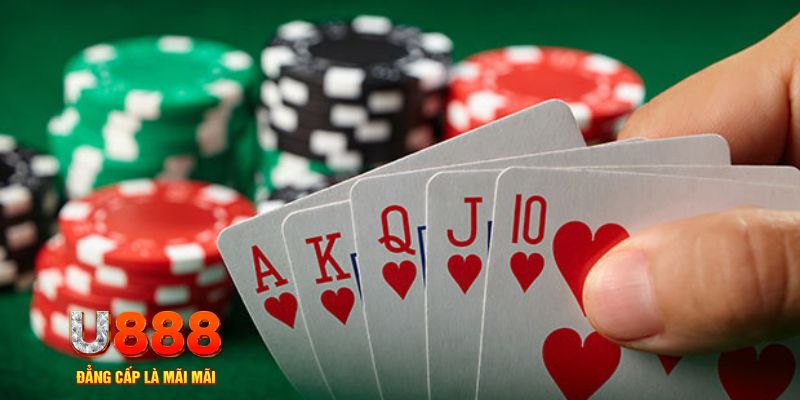 11789win trực tiếp đá gà